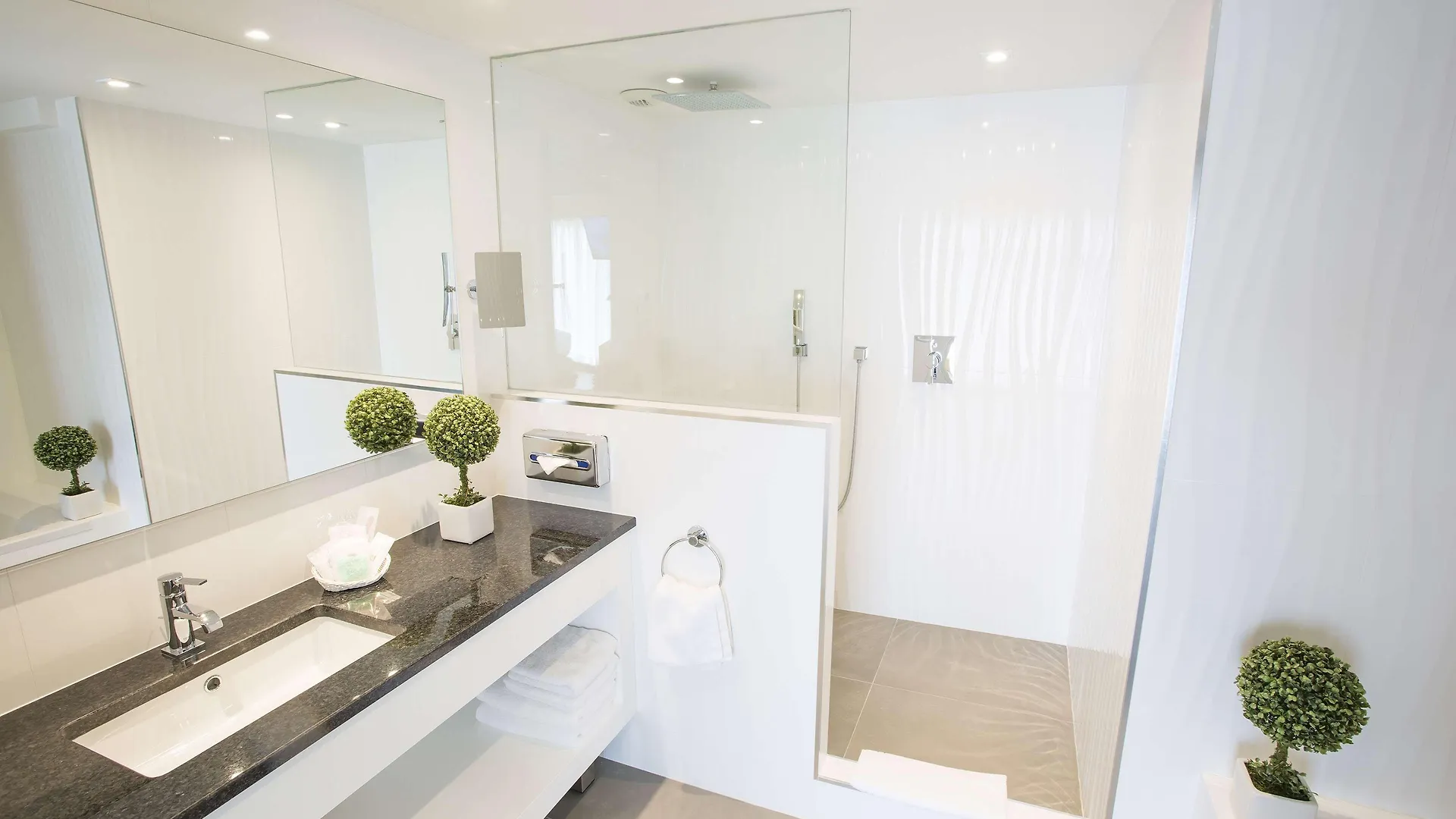 Best Western Plus Cannes Riviera